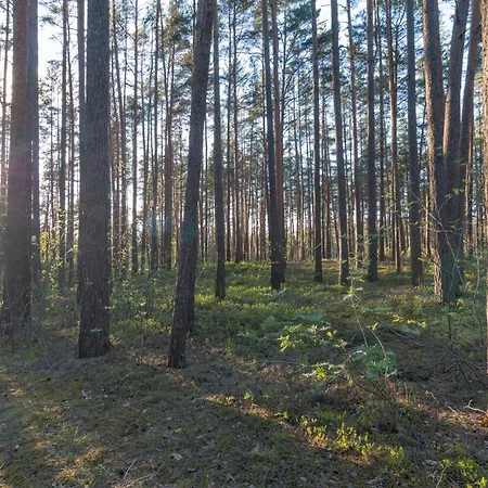 Latvian Sauna House With Garden, Bbq & Near Water Сasa de vacaciones Liyeknas